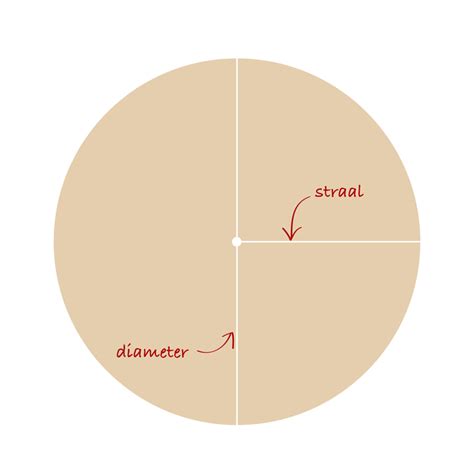 slimleren gevorderd oppervlakte van een cirkel