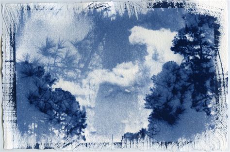 intuitive thinking toned cyanotypes
