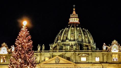 vatican lights  christmas tree unveils nativity scene  st peters square catholic news