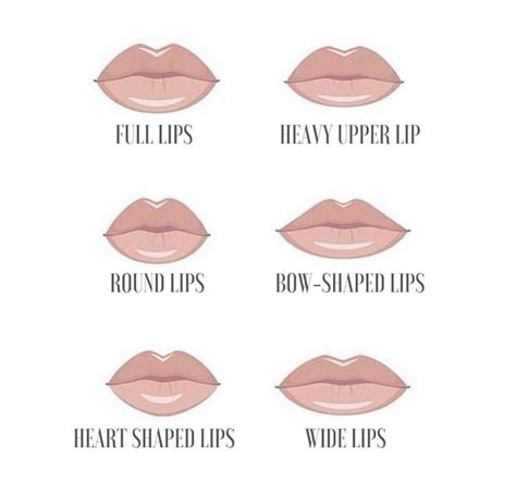 lip shape lip shapes heart shaped lips lip fillers