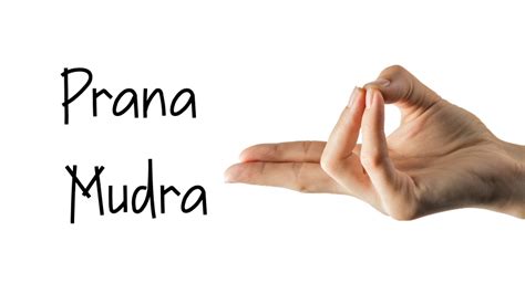 prana mudra benefits precautions