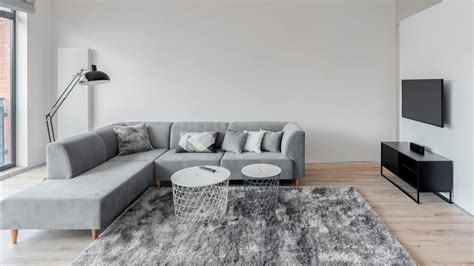 rug color  gray couches homelufcom
