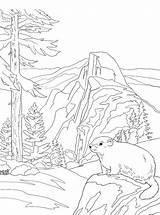 National Park Coloring Yosemite Parks Fun Kids sketch template