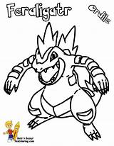 Typhlosion Bubakids Totodile Colouring sketch template
