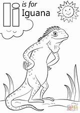 Coloring Letter Iguana Pages Alphabet Printable Marine Supercoloring Preschool Super Dot Drawing Abc sketch template