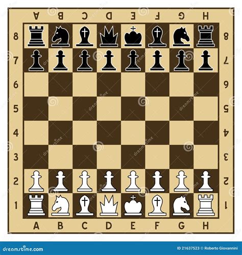 partes  tabuleiro de xadrez  de xadrez ilustracao  vetor