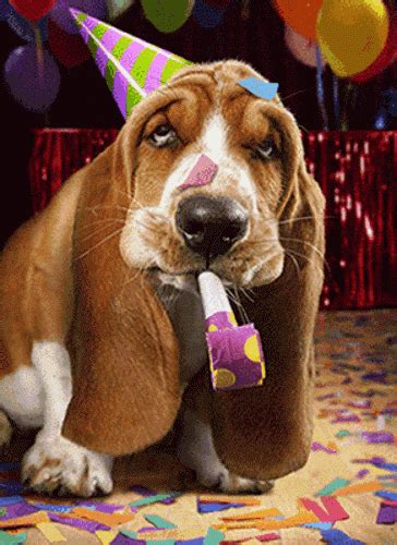 Basset Party Blower Avanti Lenticular Motion Funny Birthday Card Ebay
