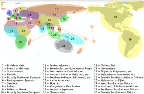 genetic ancestry dna report  haplogroups haplotypes updated aug