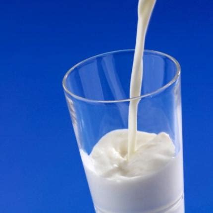 alergia  proteina  leite de vaca ou aplv mil dicas de mae