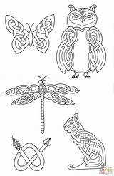 Celtic Animals Coloring Pages Designs Animal Owl Printable Knot sketch template