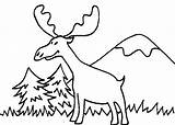 Moose Coloring Pages Color Animals Animal Print Back Sheets sketch template