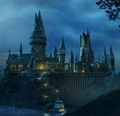 hogwarts school  witchcraft  wizardry harry potter wiki