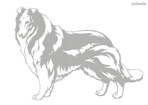 collie coloring page animal coloring pages puppy prints dog