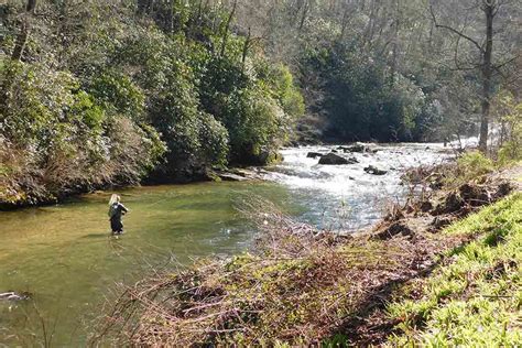 fly fishing  north carolina  complete guide updated