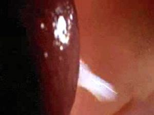 Penis camera during sex