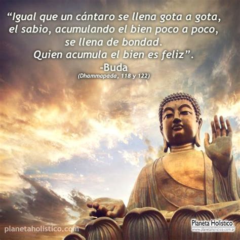 frase de buda paz buda frases buda  budismo