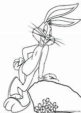 Pages Coloring Bugs Tunes Looney Bunny Getcolorings sketch template