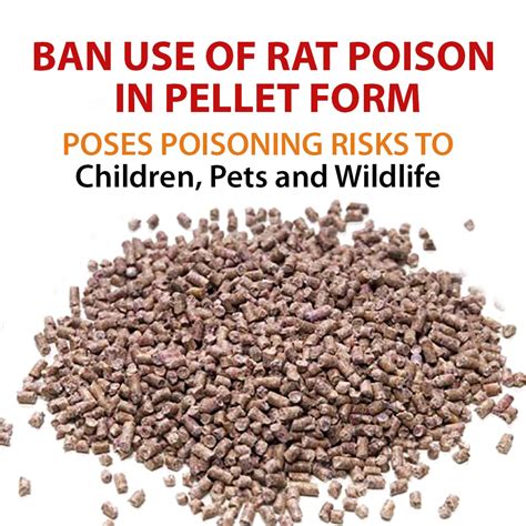 rat poison pellets shop buy save  jlcatjgobmx