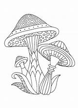 Funghi Pianetabambini Autunno Disegnare sketch template