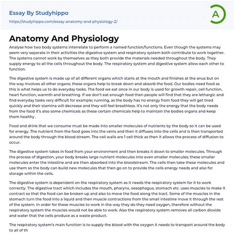 anatomy  physiology essay  studyhippocom