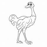 Ostrich Funny Vecteezy sketch template