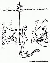 Worm Wurm Herman Sheet Ausmalbild sketch template