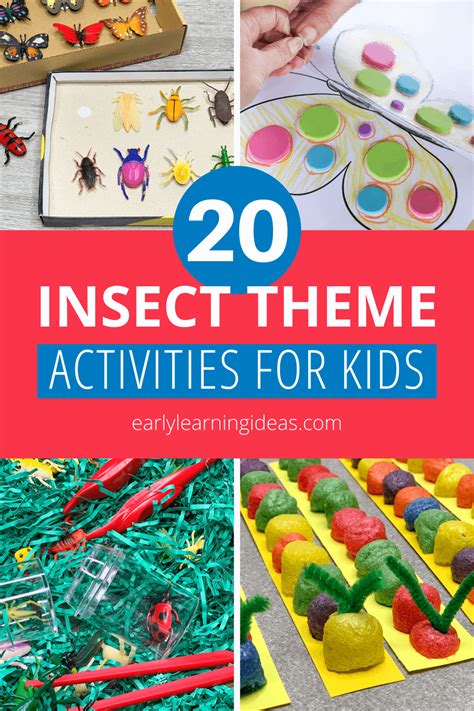 insect activities  preschoolers