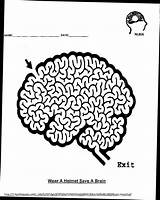 Brain Worksheet Activity Printable Worksheets Coloring Template Sheet Pages sketch template