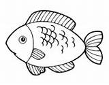 Fish Coloring Meat Pages Eat Coloringcrew Food sketch template