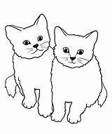 Cats Cat Coloring Clipart Pages Cute Two Cartoon Fluffy Drawing Kittens Color Kitten Realistic Clip Printable Drawn Small Big Funny sketch template