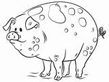 Porquinho Maneira Pegue Porcos Esses Pinte Promover Atividades Poderá sketch template