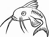 Catfish Coloring Clipart Cartoon Drawings Pages Drawing Clip Super Printable Cliparts Fish Gif Clipartbest sketch template