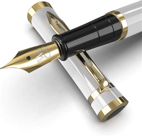 wordsworth black ensemble de stylo plume plume moyenne comprend  cartouches dencre