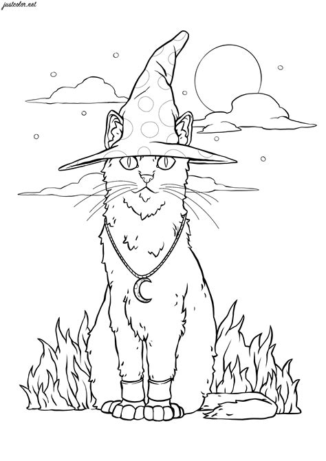 collections witch cat coloring pages   coloring pages