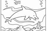 Coloring Pages Underwater Print Dolphin Getcolorings Habitat Ocean Spinner Getdrawings Drawing sketch template