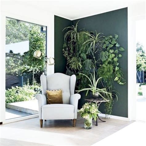 indoor gardening tips  beginners house design concepts