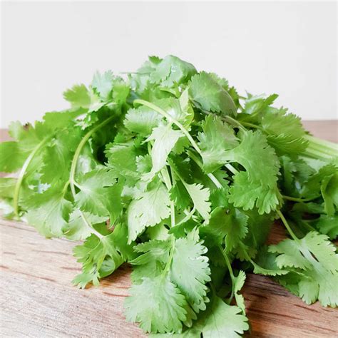 grow parsley quickly  cuttings  seeds