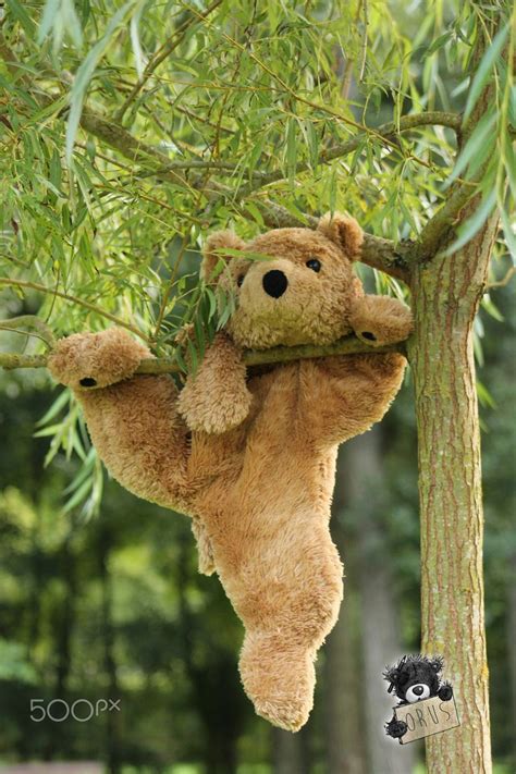 1775 Best Teddybären Images On Pinterest Teddybear Bear