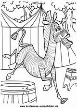 Madagascar Zebra Marty Ausmalen Kino Ausdrucken Pdf sketch template