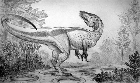 megaraptor dinopedia fandom