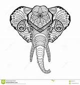 Zentangle Elefante Elphant Stylized Tatoegering Gestileerd Schets sketch template