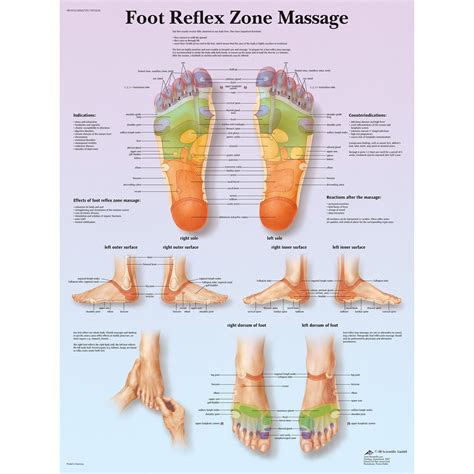 scientific foot reflex zone massage chart