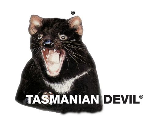 tasmanian devil przyneta tasmanian devil kolor holographic
