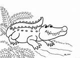 Alligator Coloring Cute Pages Coloringbay sketch template