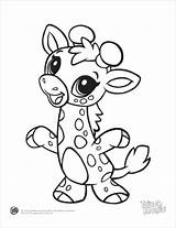 Coloring Baby Pages Animal Print sketch template