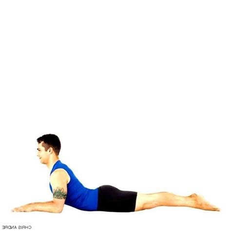 sphinx pose chest opening yoga poses work  picture media work