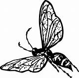 Wasp Clip Clipart Clker Vector Large sketch template
