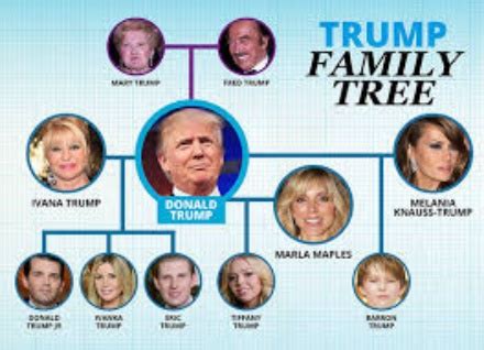 donald trumps family wives children  grandchildren
