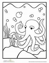 Octopus Sheets sketch template
