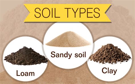 determine soil type gardenerdy